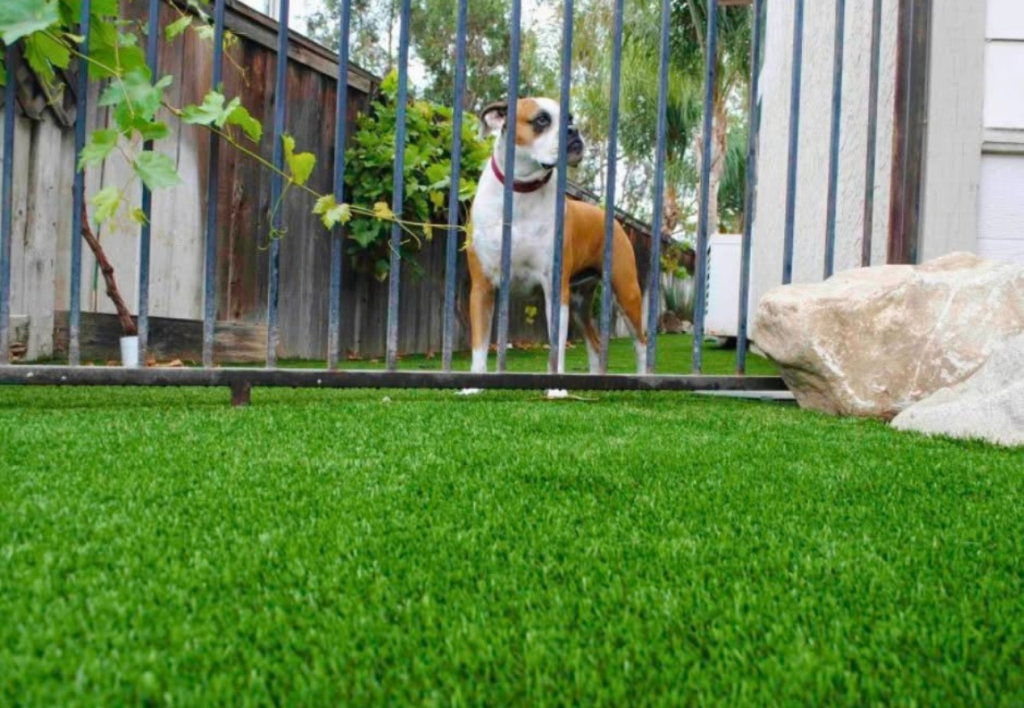 Backyard turf putting green & pavers newly installed in San Diego, CA
