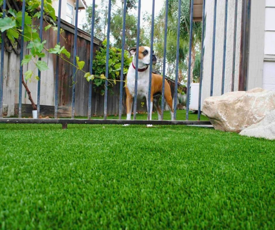 Freshly installed backyard turf in San Diego, CA